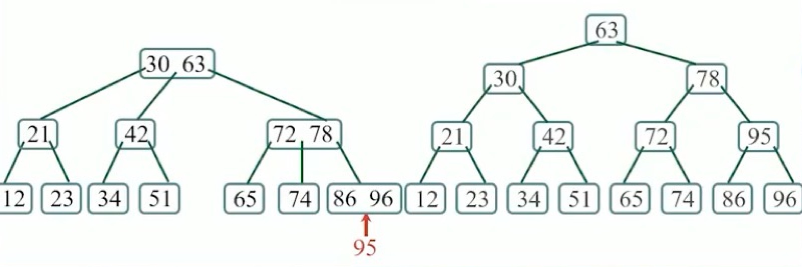 p20-B树分裂