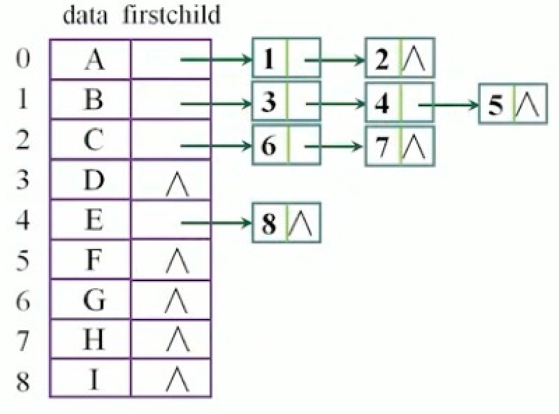 p4-孩子链表表示法